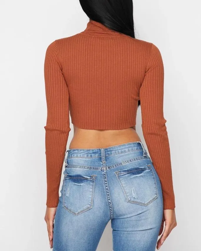 It's A Vibe Turtleneck Crop Top